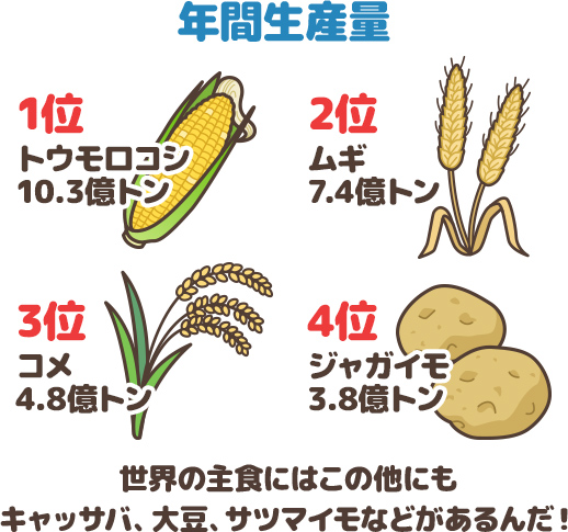 年間生産量１位のトウモロコシは10.3億トン、２位の小麦は7.4億トン、３位の米は4.8億トン、４位のジャガイモは3.8億トン生産されているよ。世界の主食にはこの他にもキャッサバ、大豆、サツマイモなどがあるんだ！